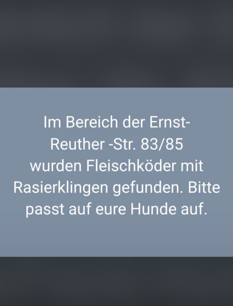 Giftköder-Fleischköder mit Rasierklingen!-Profilbild