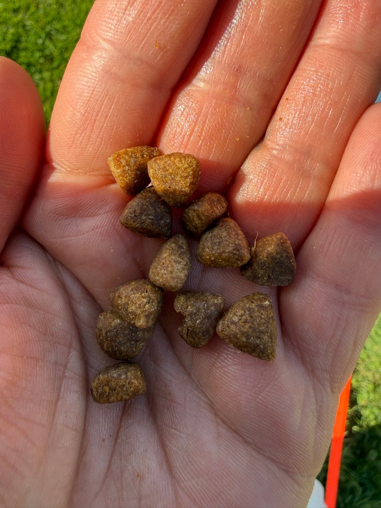 Giftköder-⚠️ Verdacht auf Giftköder in Gronau-Profilbild