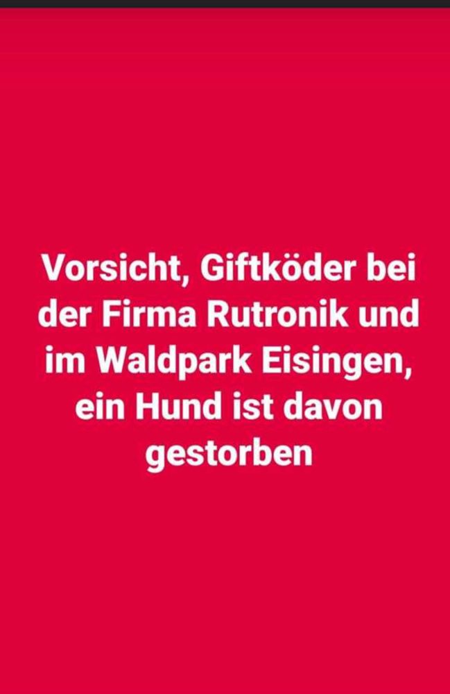 Giftköder-Giftköder-Profilbild