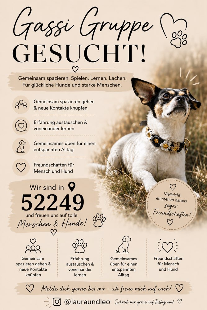 Hundetreffen-Gassi Runde kleine & mittlere Hunde-Profilbild