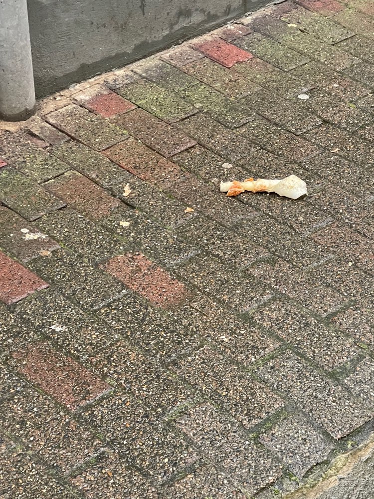 Giftköder-Hundeknochen liegt auf Straße-Profilbild