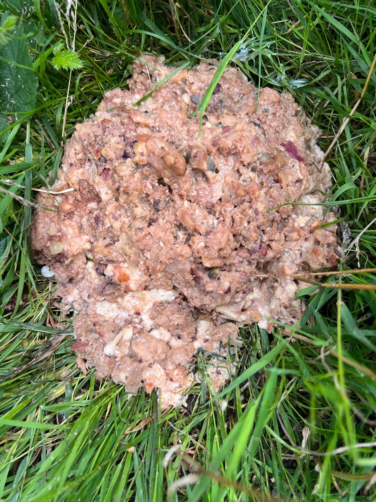 Giftköder-Undefinierbarer Haufen-Profilbild