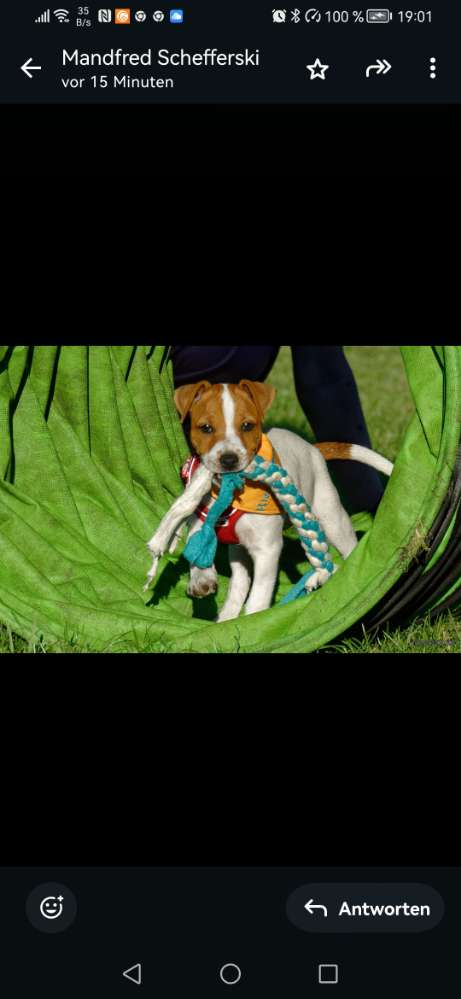 Giftköder-Giftköder-Profilbild