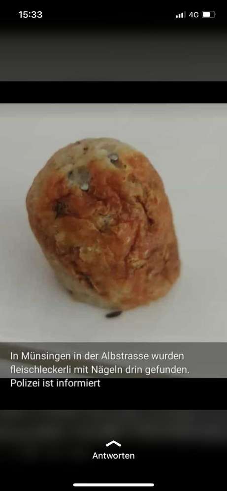 Giftköder-Fleisch Köder mitNägeln entdeckt-Profilbild