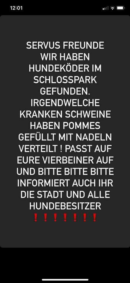 Giftköder-Ausgelegte Pommes mit Nadeln-Profilbild