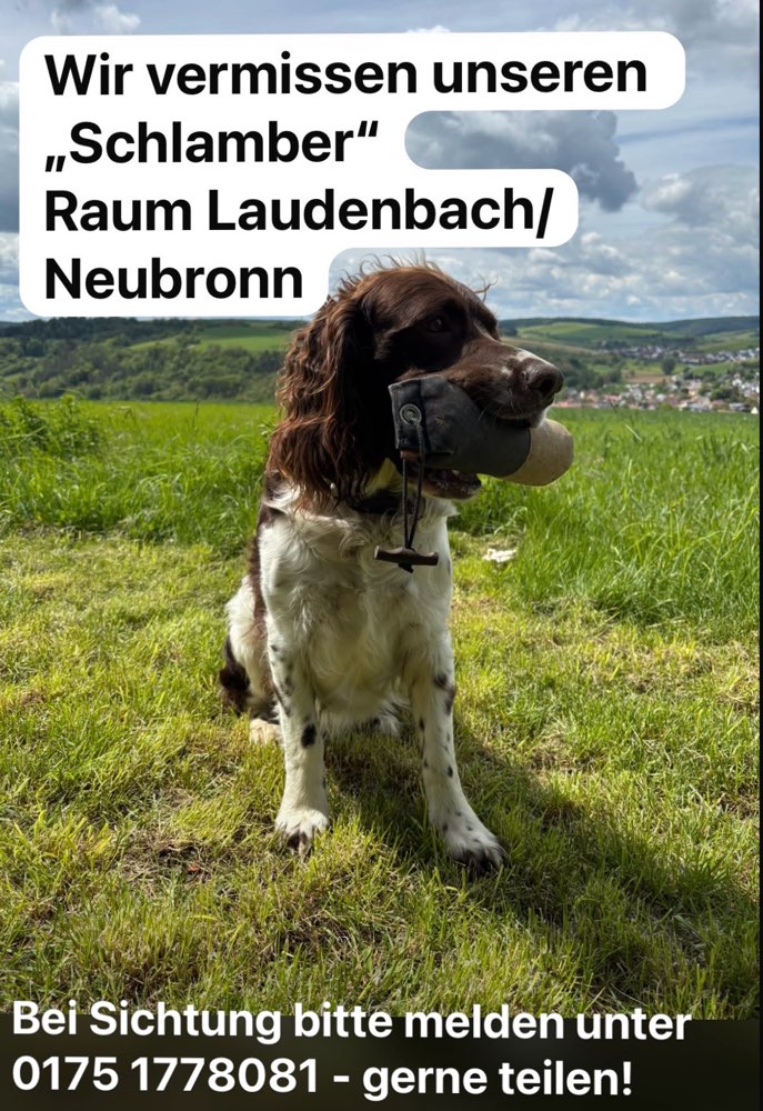 Suchmeldung-Schlamber-Profilbild
