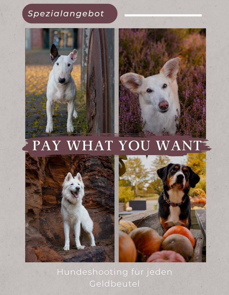 Hundetreffen-Fotoaktion „Pay what you want“-Profilbild