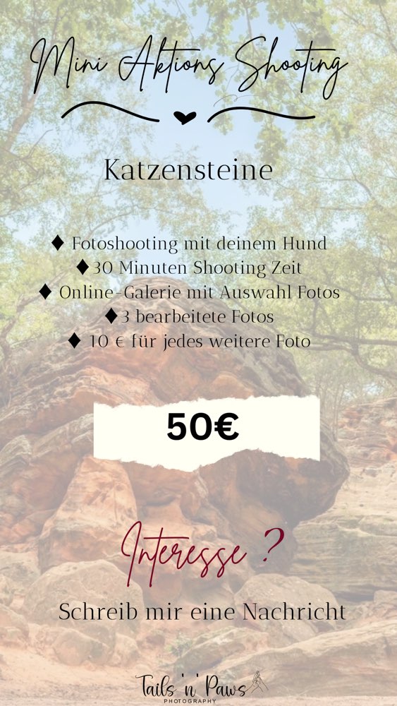 Hundetreffen-Red Rocks Mini-Shooting-Aktion-Profilbild