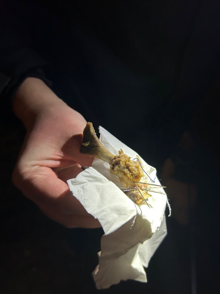 Giftköder-Nadelköder-Profilbild