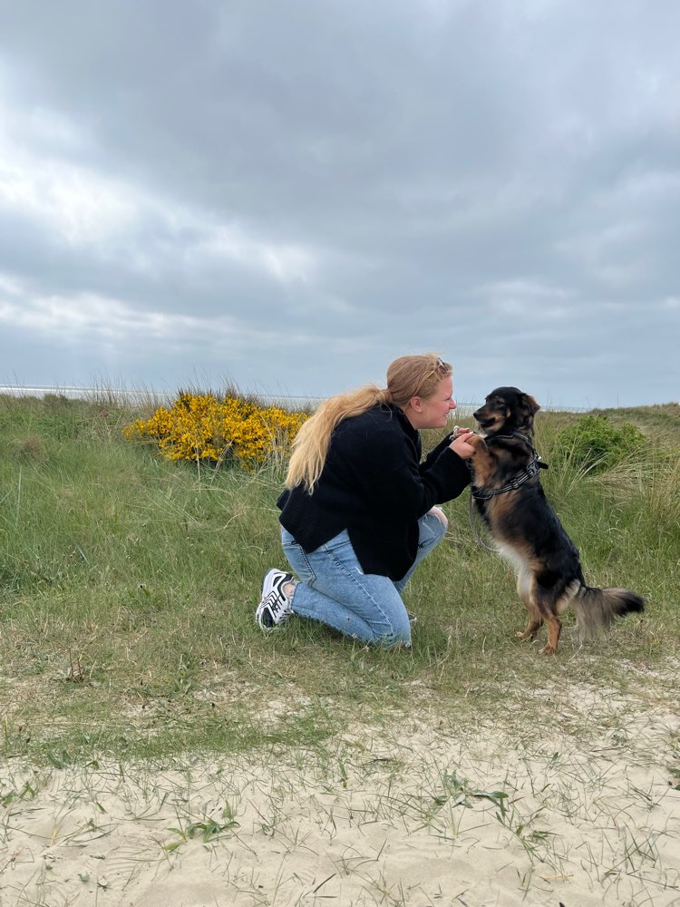 Hundetreffen-Hundespielen in Bremen Hastedt/Jürgenshof-Profilbild