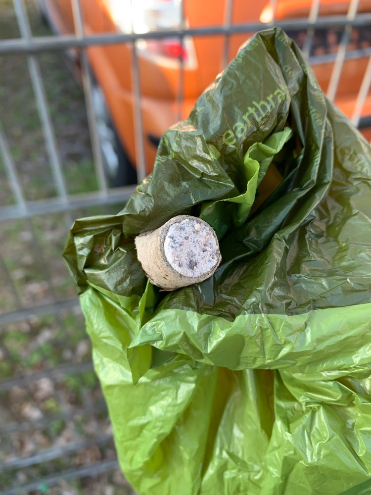 Giftköder-Eventuell Gift-Profilbild