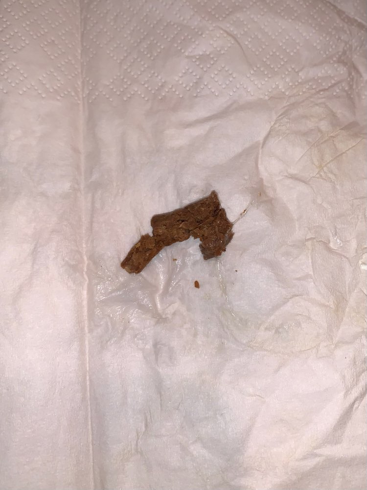 Giftköder-Undefinierbare Futterstücke-Profilbild