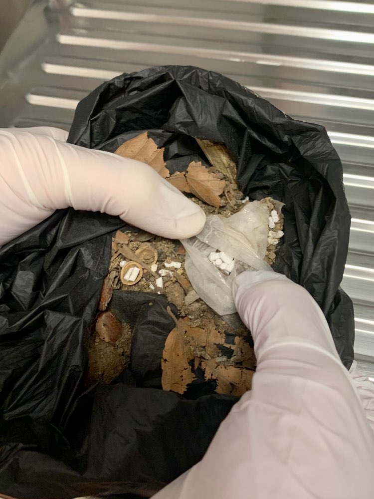 Giftköder-Evtl. Gift-Profilbild