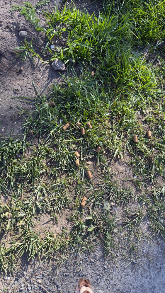 Giftköder-Unbekannte Pellets-Profilbild