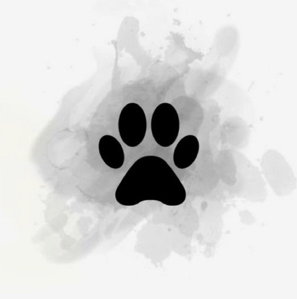 Hundetreffen-Hundetreffen-Profilbild