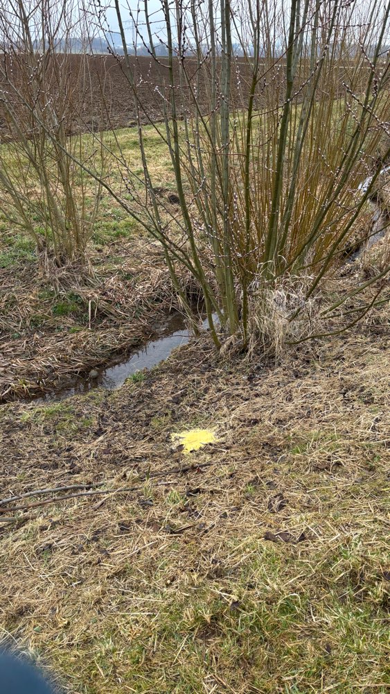 Giftköder-Gelbes Pulver / Echterdingen-Profilbild