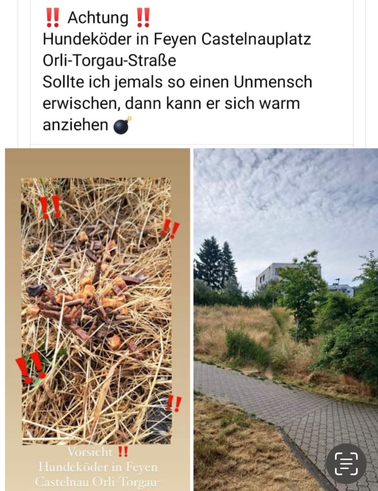 Giftköder-Giftköder-Profilbild