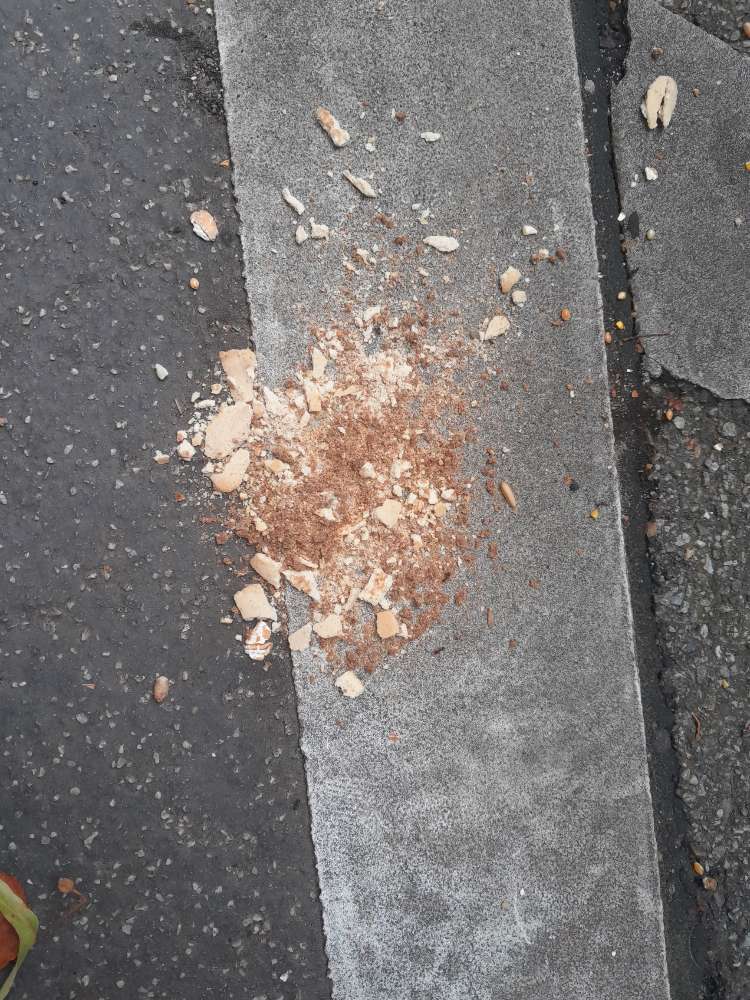 Giftköder-Seltsame Bröselhäufchen-Profilbild