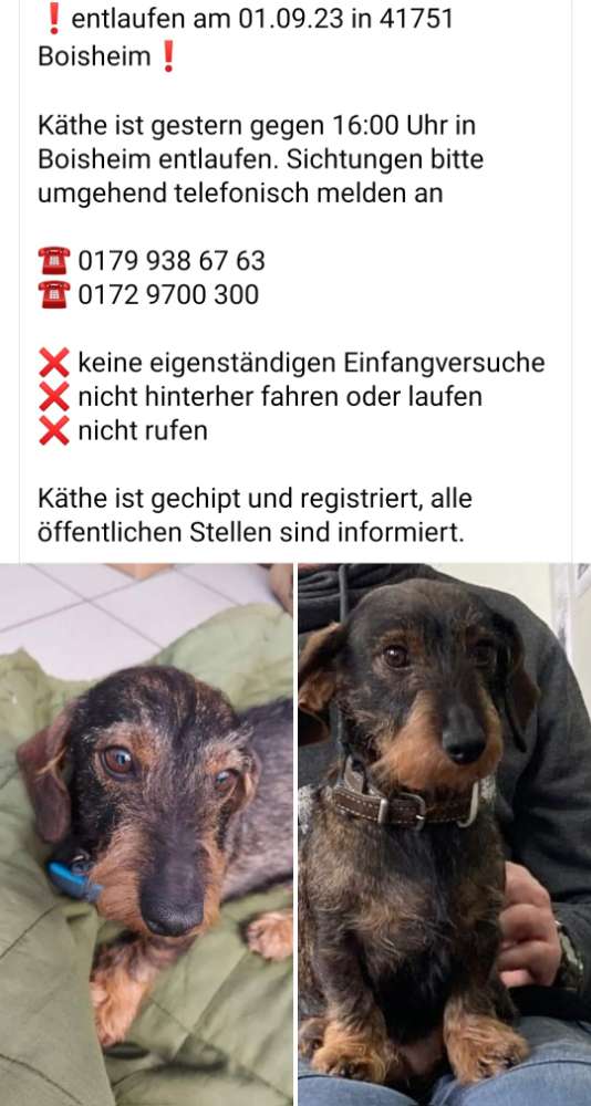 Suchmeldung-Käthe-Profilbild