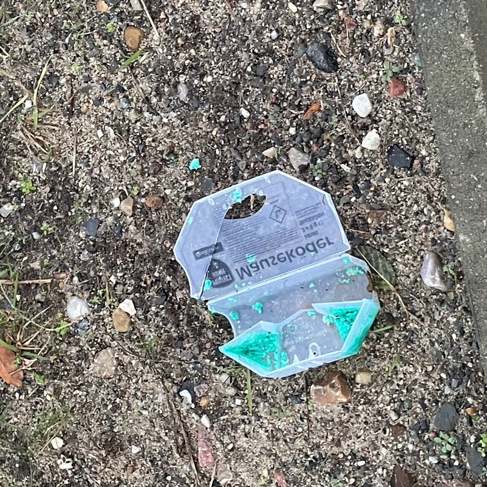 Giftköder-Offene Mäuseköder am Fußweg-Profilbild