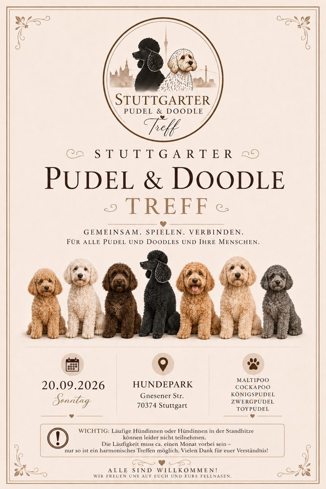 Hundetreffen-Stuttgarter Pudel & Doodle Treff-Profilbild