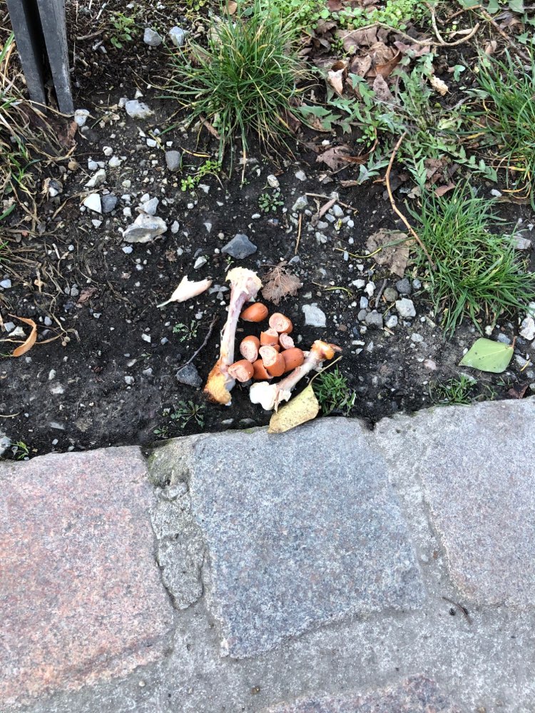 Giftköder-Hähnchenknochen und Wurststücke-Profilbild