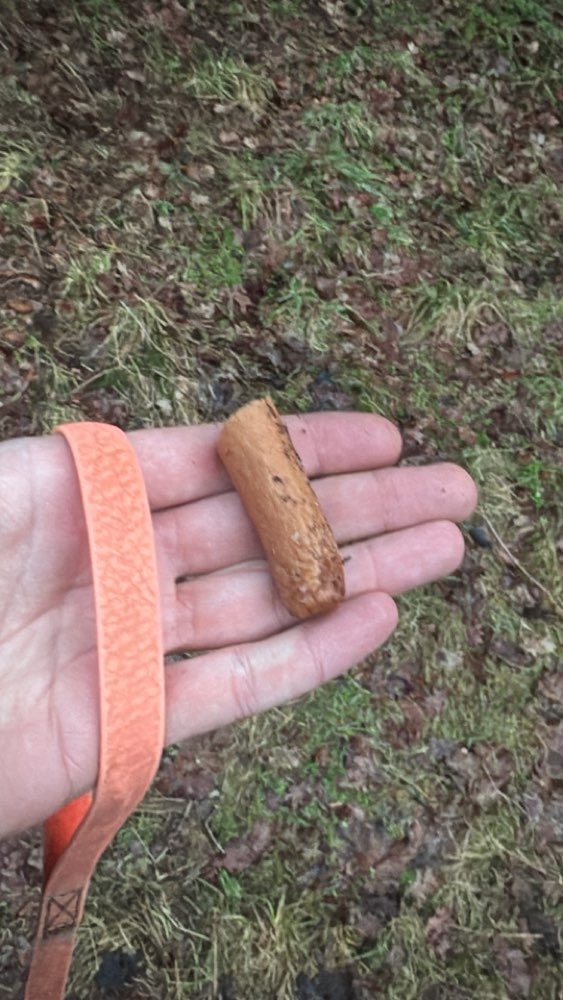 Giftköder-Wiener Würstchen mit weißen Spuren daran-Profilbild