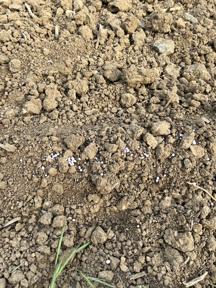 Giftköder-Kalkammonsalpeter-Profilbild