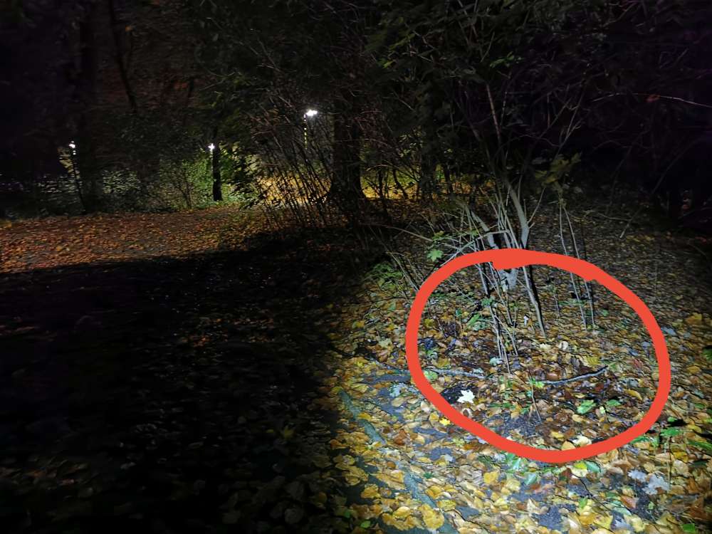 Giftköder-Potentieller Giftköder-Profilbild