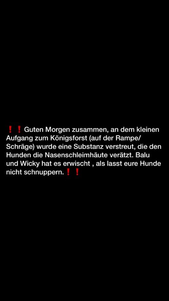 Giftköder-Substanz am Eingang Königsforst-Profilbild