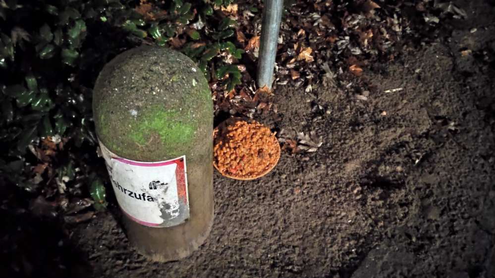 Giftköder-Pizza mit Bohnen-Profilbild