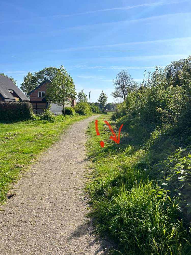 Giftköder-Geflügelknochen unter Grasschnitt-Profilbild