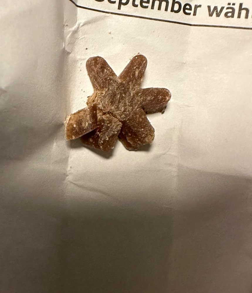 Giftköder-Eventuell Giftköder-Profilbild