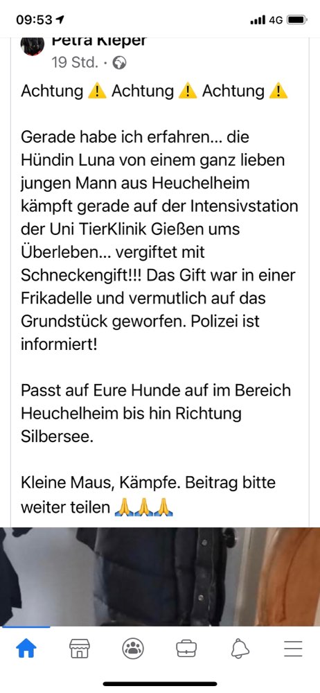 Giftköder-Vergifteter Hund mit Schneckengift-Profilbild