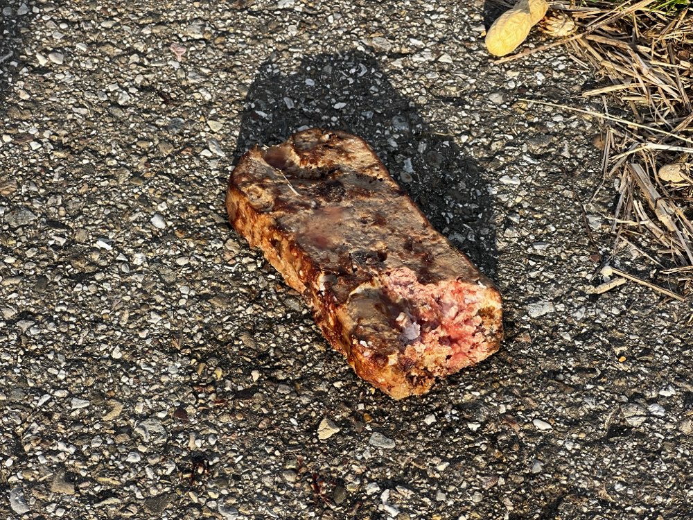 Giftköder-Fleischköder-Profilbild