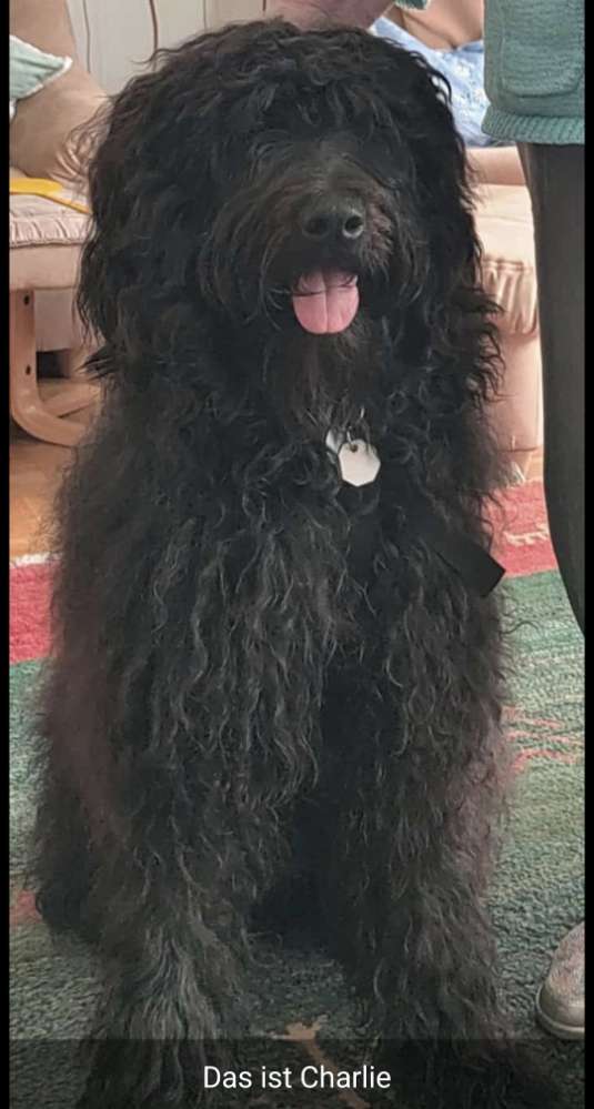 Suchmeldung-Charlie-Profilbild