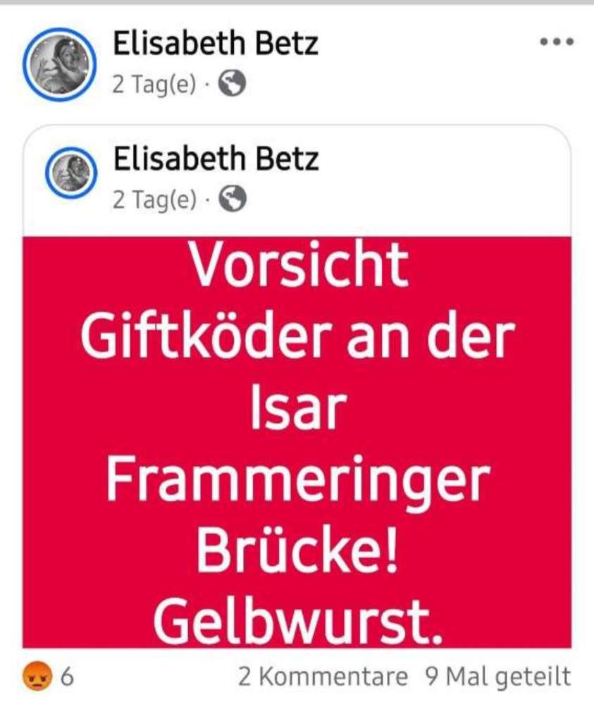 Giftköder-Giftköder mit Gelbwurst-Profilbild