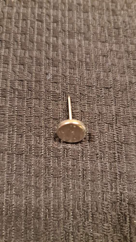 Giftköder-Große Reißzwecken versteckt im Laub-Profilbild