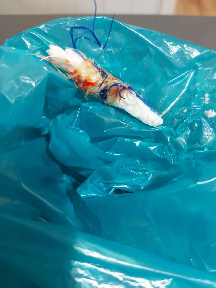 Giftköder-Ggf. Giftköder in Dernbach-Profilbild