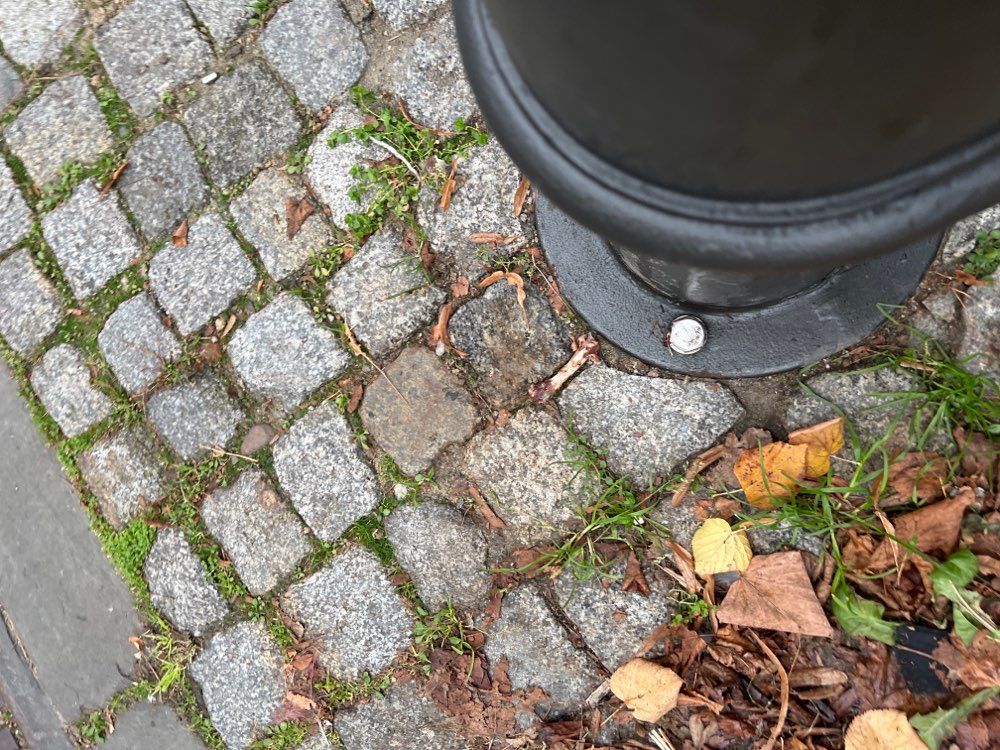 Giftköder-Knochenreste bei der Laterne-Profilbild