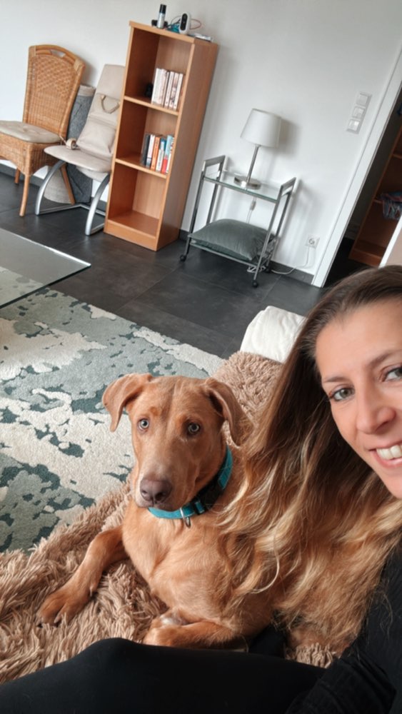 Hundetreffen-Gemeinsame Spaziergänge oder Spielpartner-Profilbild