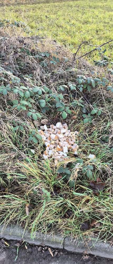 Giftköder-Achtung: Vermutlich Giftköder-Profilbild