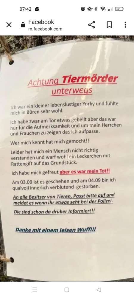 Giftköder-Giftköder mit Rattengift-Profilbild