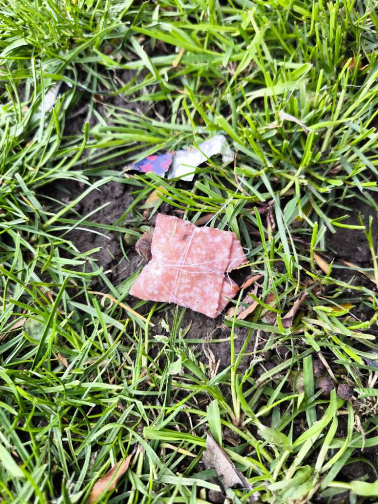 Giftköder-Giftköder! Salami mit Garn-Profilbild