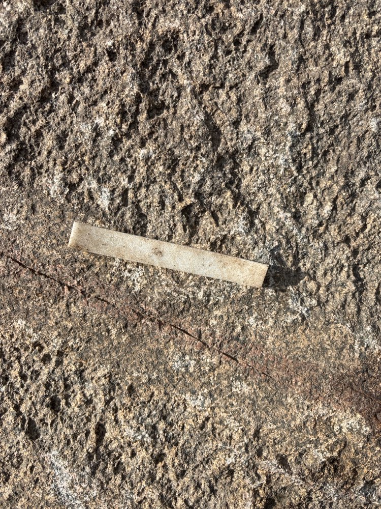 Giftköder-Undefinierbare Streifen-Profilbild