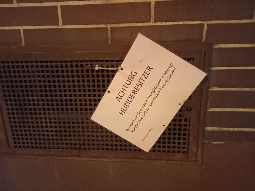 Giftköder-Rattengift vom Kammerjäger ausgelegt-Profilbild