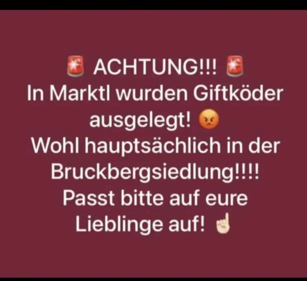 Giftköder-Giftköder-Profilbild