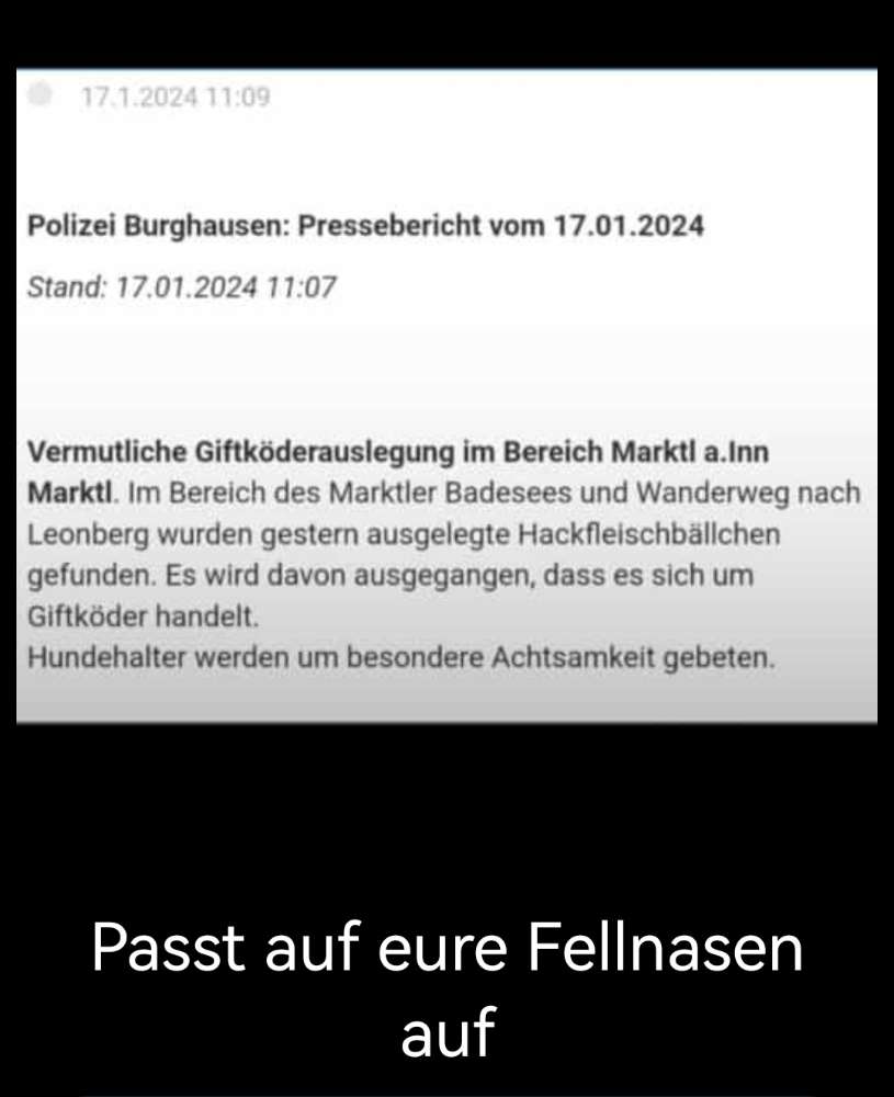 Giftköder-Giftköder-Profilbild