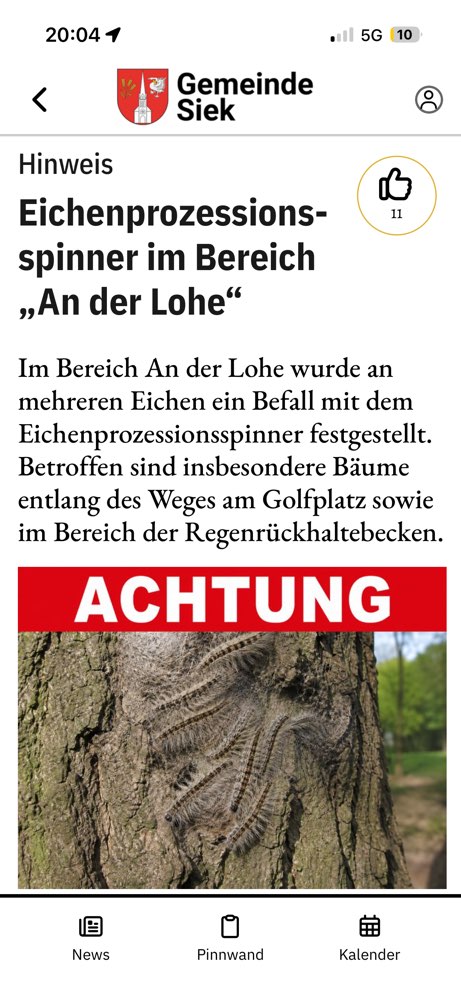 Giftköder-Eichenprozessionsspinner-Profilbild