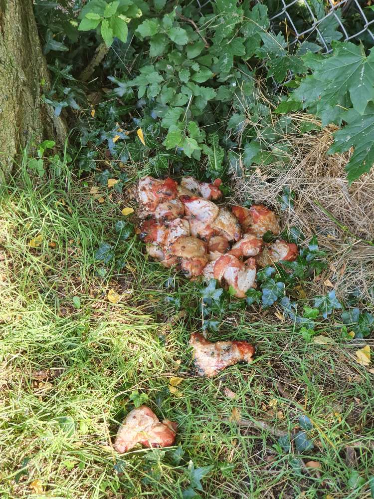 Giftköder-Rohes Fleisch und Knochen-Profilbild